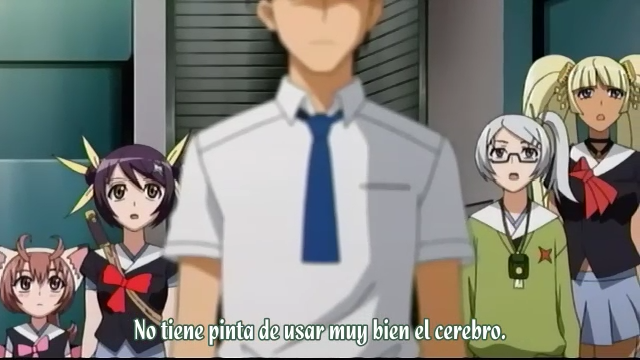 Himawari! (Tai-Rei Fansubs, Tsugaru Anime Fansub)